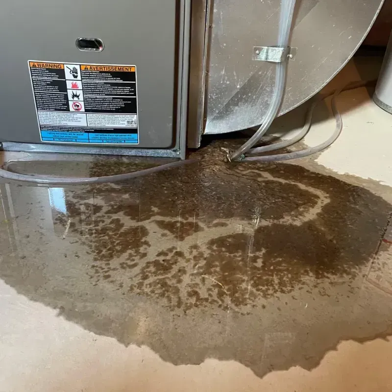 Appliance Leak Cleanup in Boone County, AR